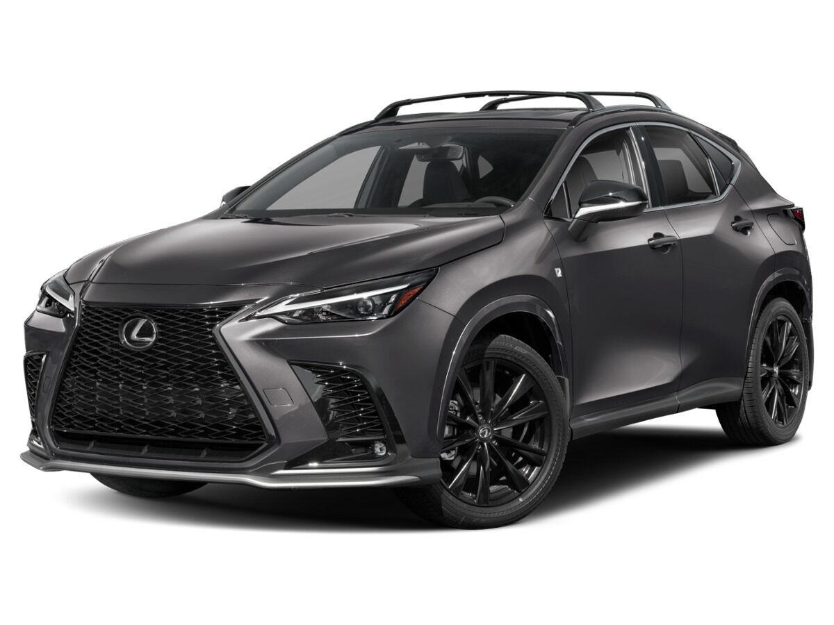 2024 LEXUS NX