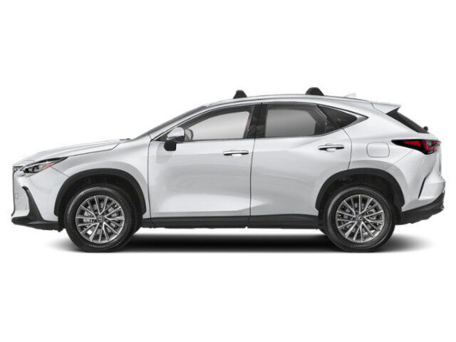 2024 LEXUS NX