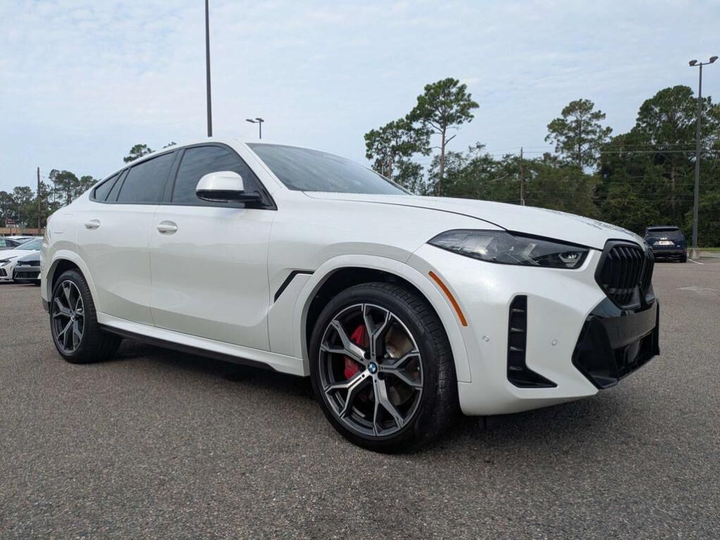 2024 BMW X6