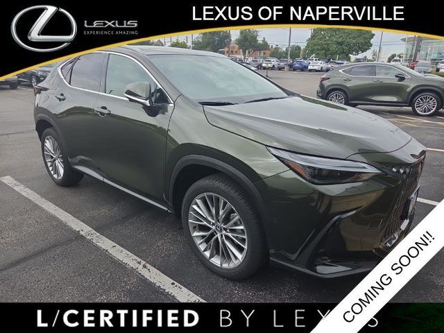 2024 LEXUS NX