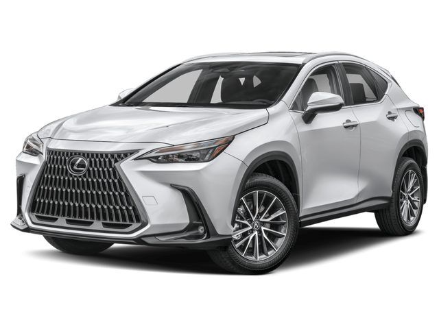 2024 LEXUS NX