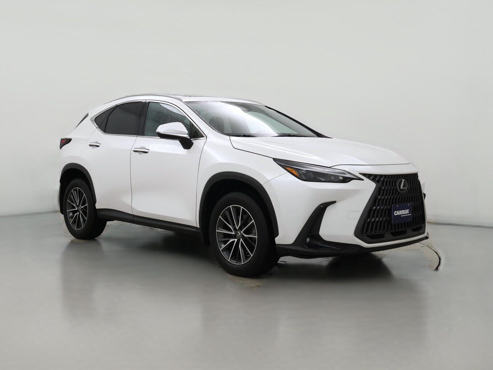 2024 LEXUS NX