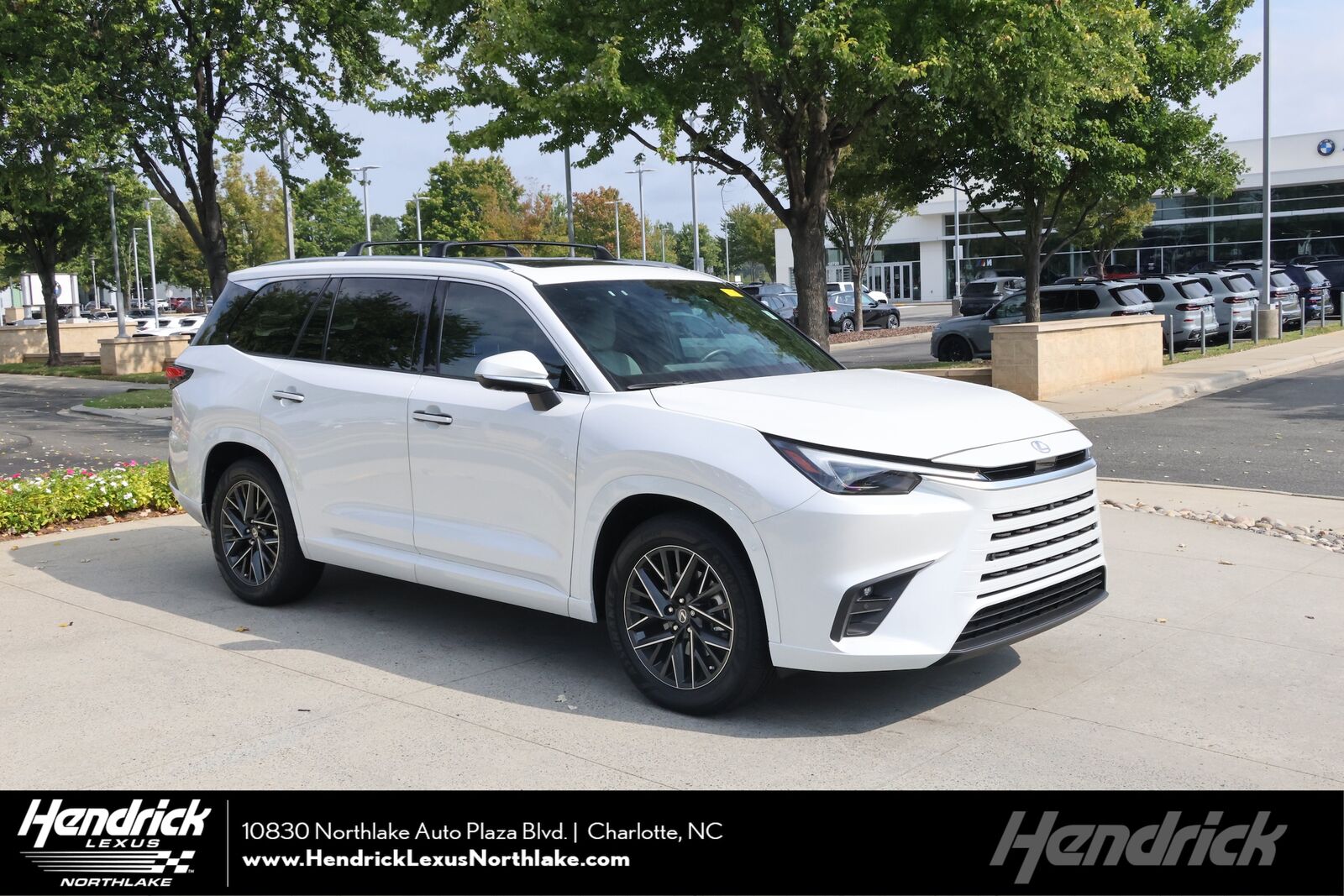 2026 LEXUS TX