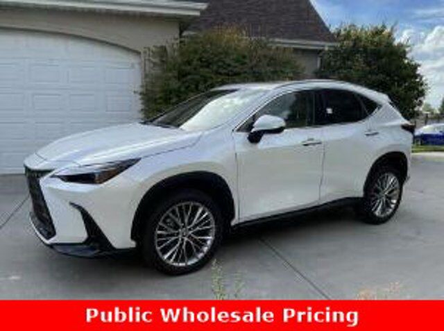 2024 LEXUS NX