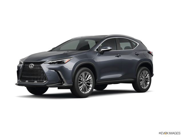 2026 LEXUS NX