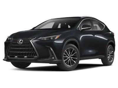2025 LEXUS NX