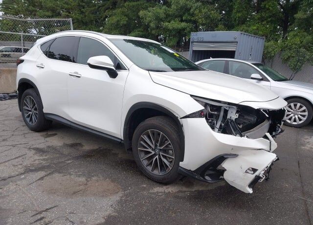 2025 LEXUS NX