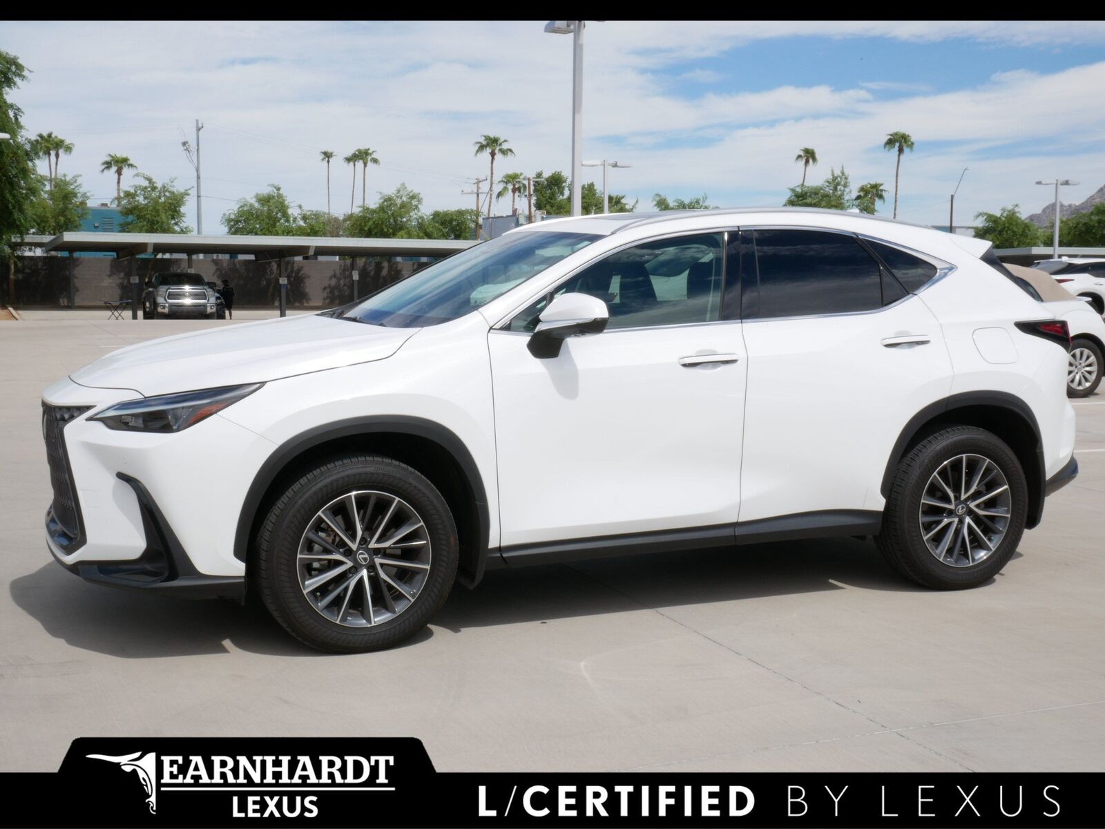 2026 LEXUS NX
