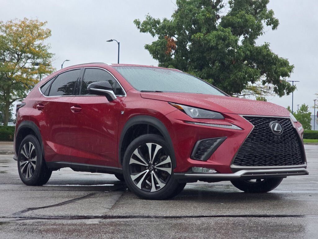 2019 LEXUS NX