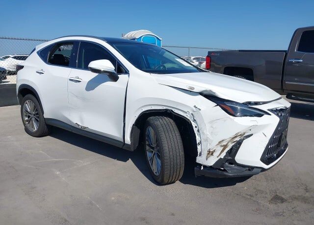 2026 LEXUS NX