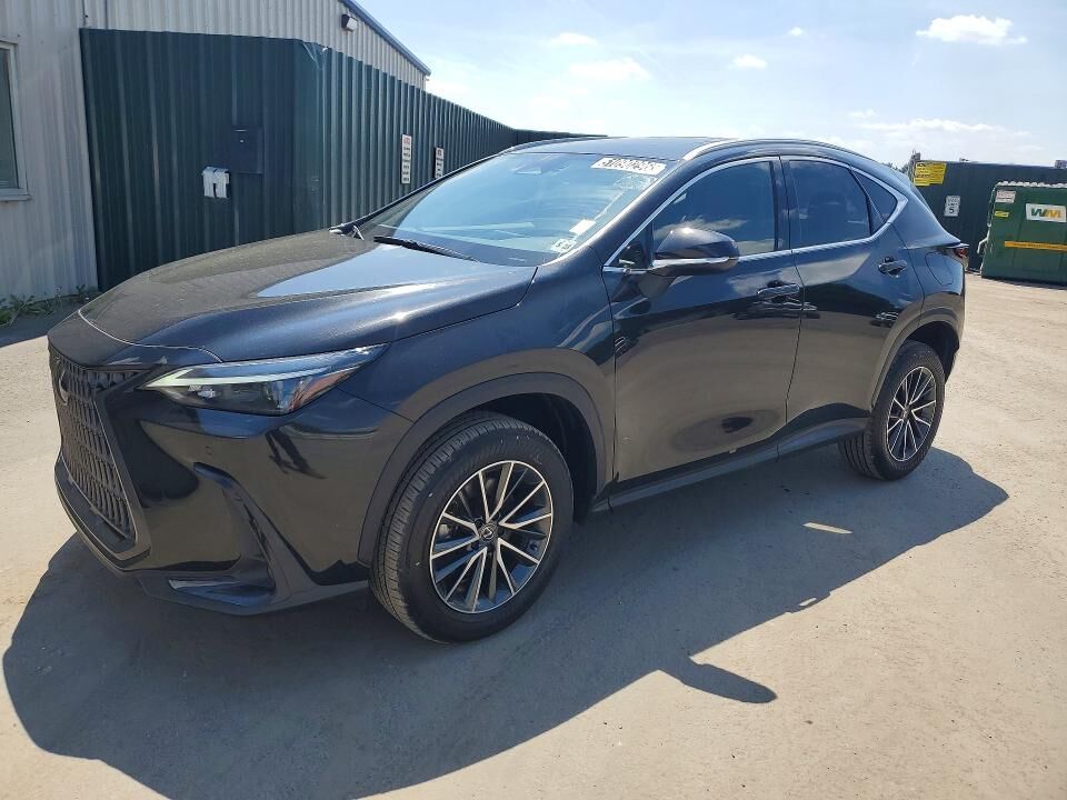 2024 LEXUS NX