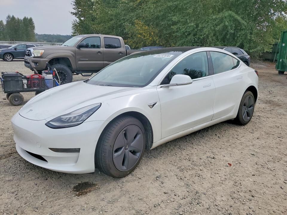 2019 TESLA Model 3