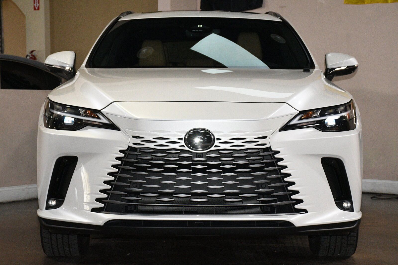 2025 LEXUS RX