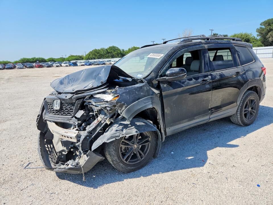2019 HONDA Passport