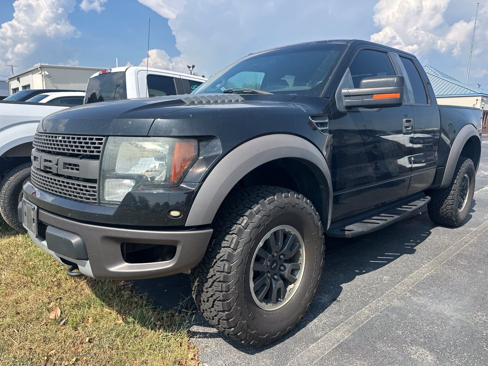 2010 FORD F-150