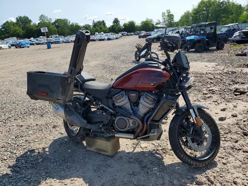 2024 HARLEY DAVIDSON RA1250 / Pan America