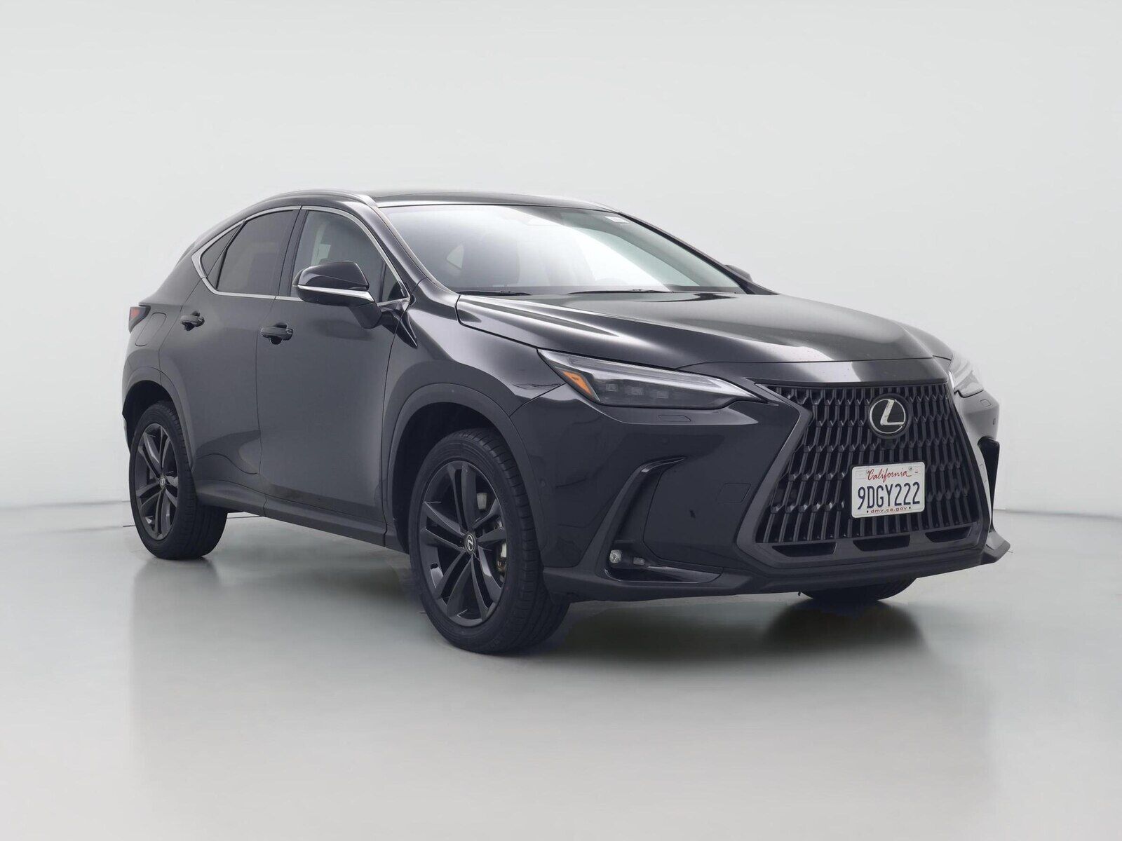 2025 LEXUS NX