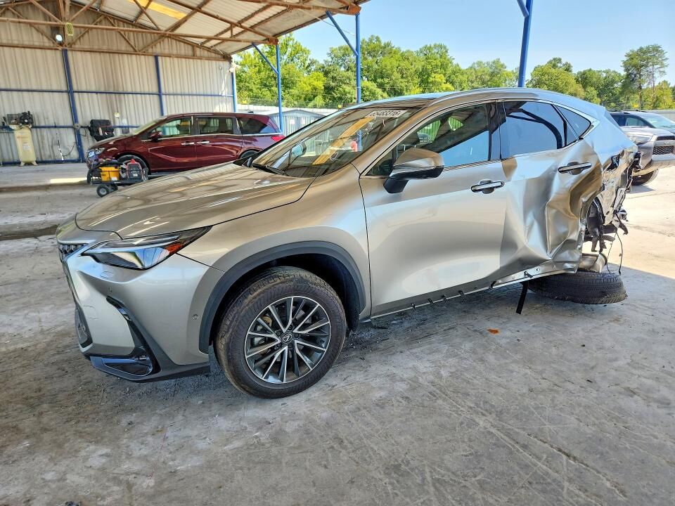 2024 LEXUS NX