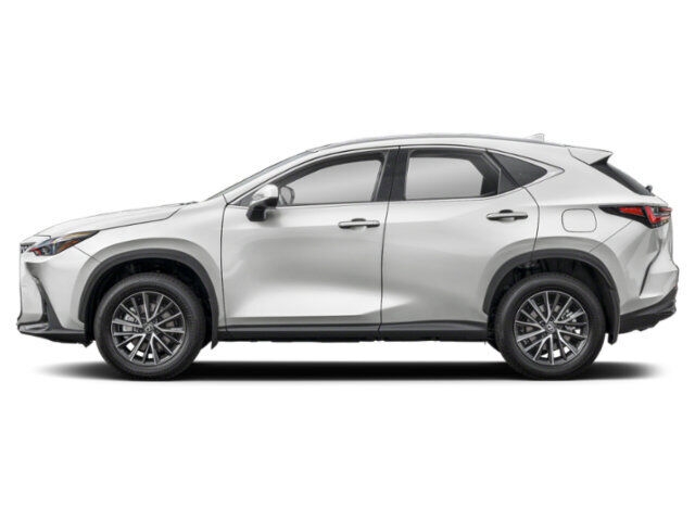 2024 LEXUS NX