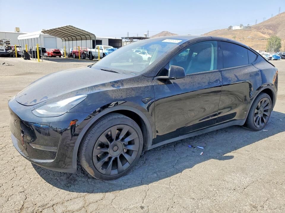2024 TESLA Model Y