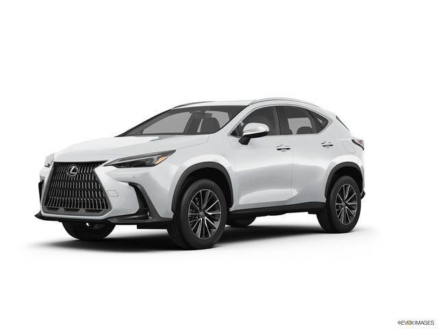 2026 LEXUS NX
