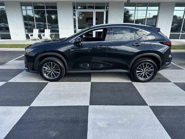 2026 LEXUS NX