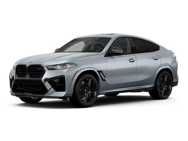 2025 BMW X6