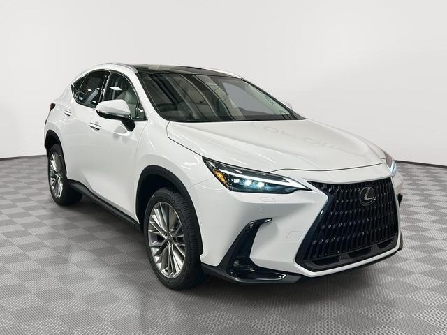 2026 LEXUS NX