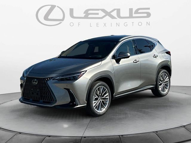 2026 LEXUS NX