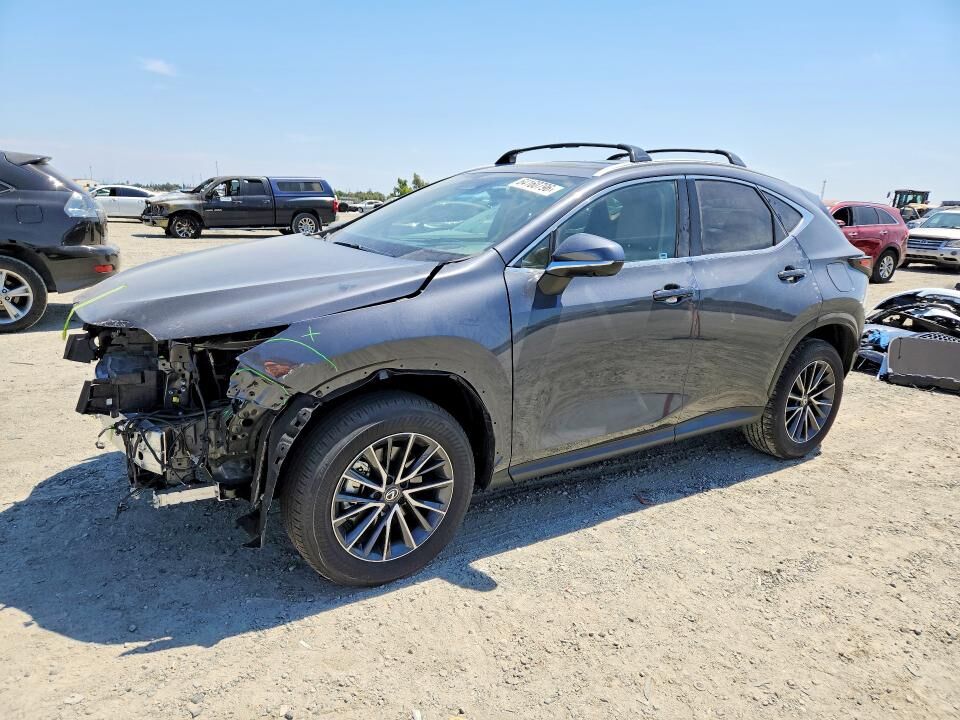 2025 LEXUS NX