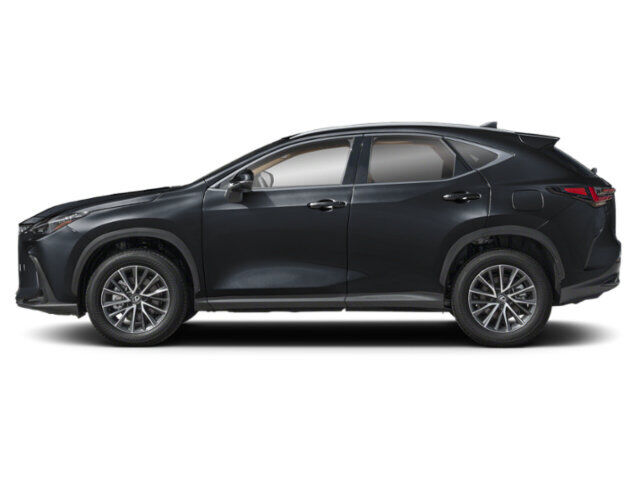2025 LEXUS NX