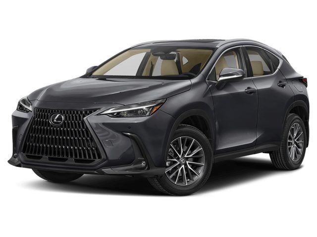 2024 LEXUS NX