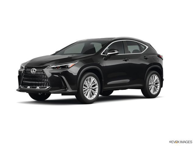 2026 LEXUS NX