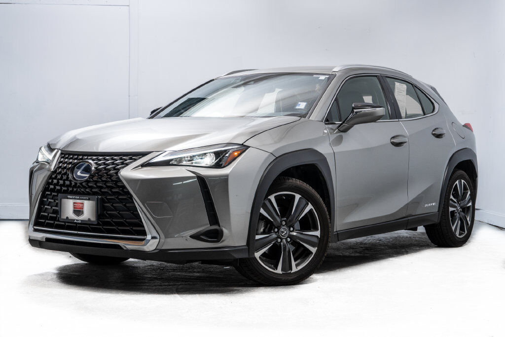 2019 LEXUS UX