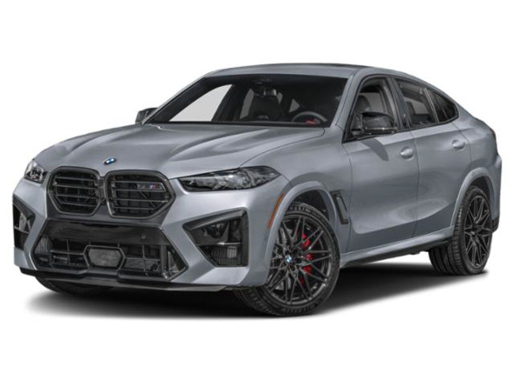 2025 BMW X6
