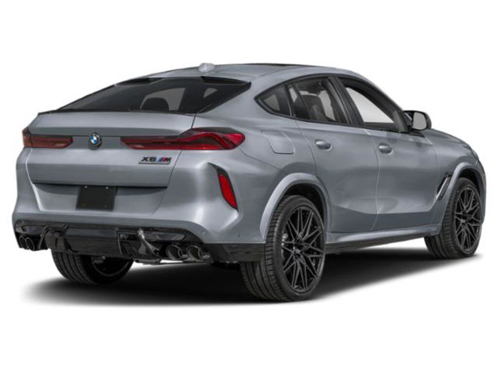 2025 BMW X6