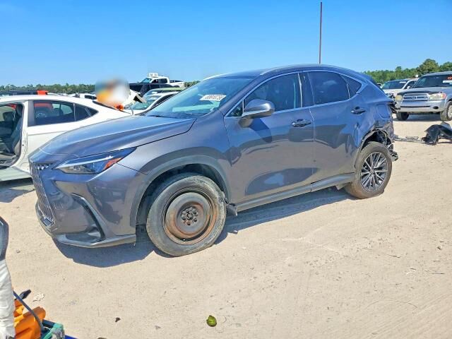 2024 LEXUS NX
