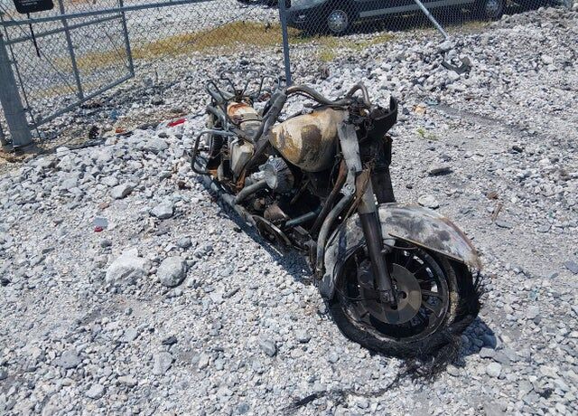 1981 HARLEY-DAVIDSON FLT