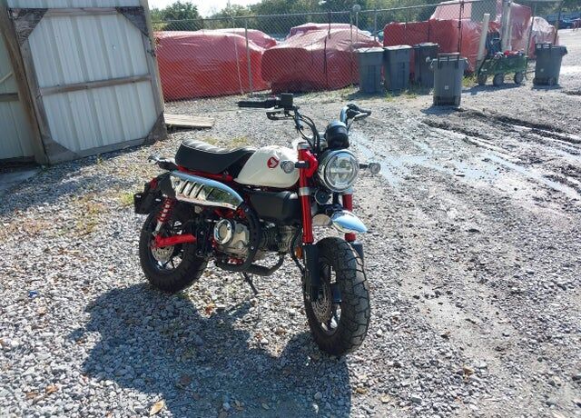 2025 HONDA Monkey