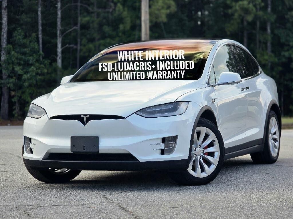 2019 TESLA Model X
