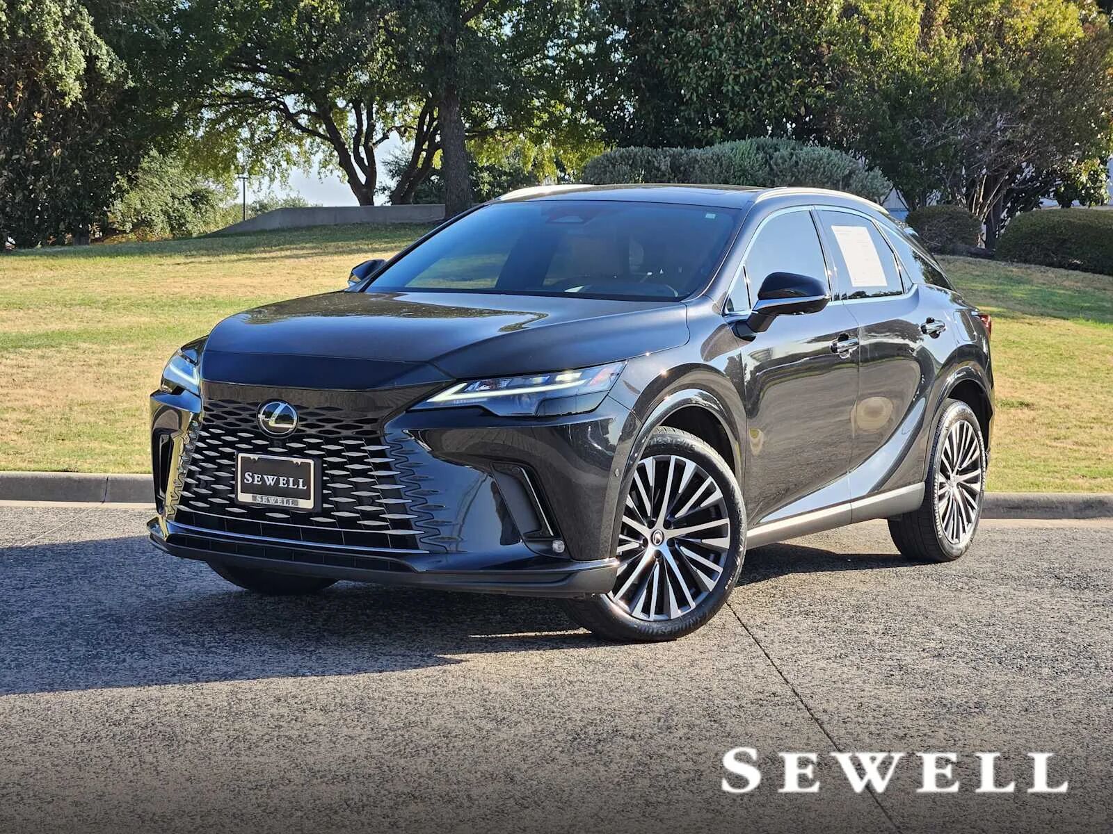2024 LEXUS RX