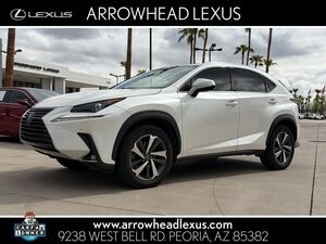 2019 LEXUS NX