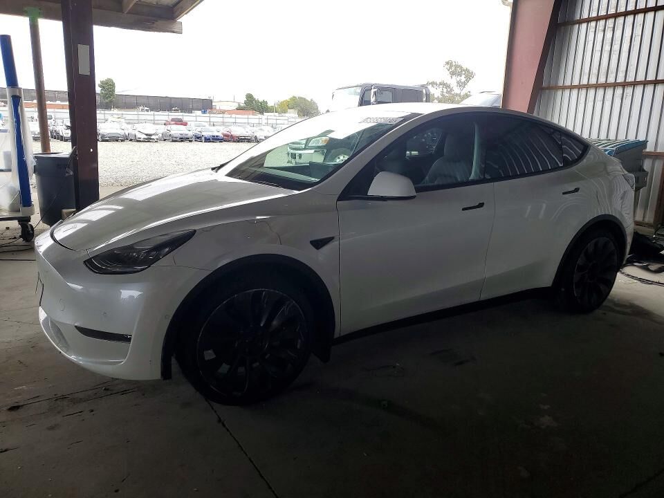 2020 TESLA Model Y