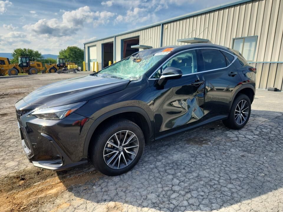 2024 LEXUS NX