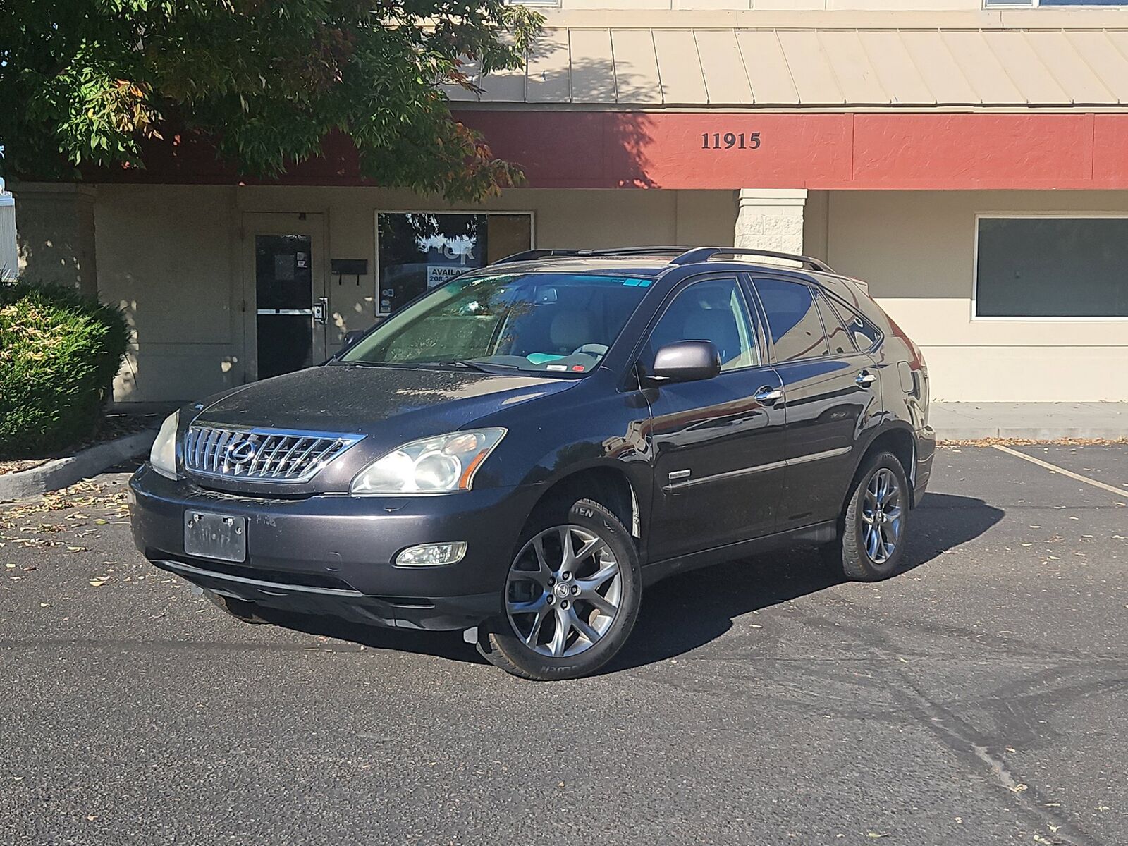 2009 LEXUS RX