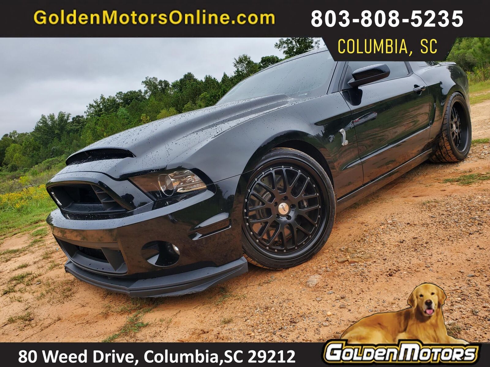 2014 FORD Mustang
