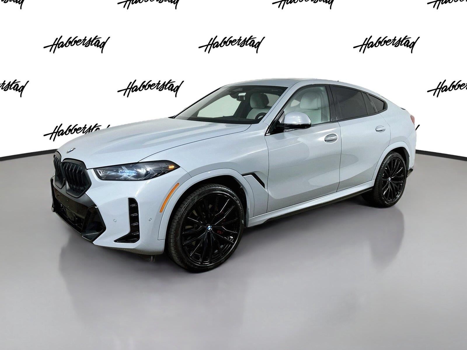 2024 BMW X6