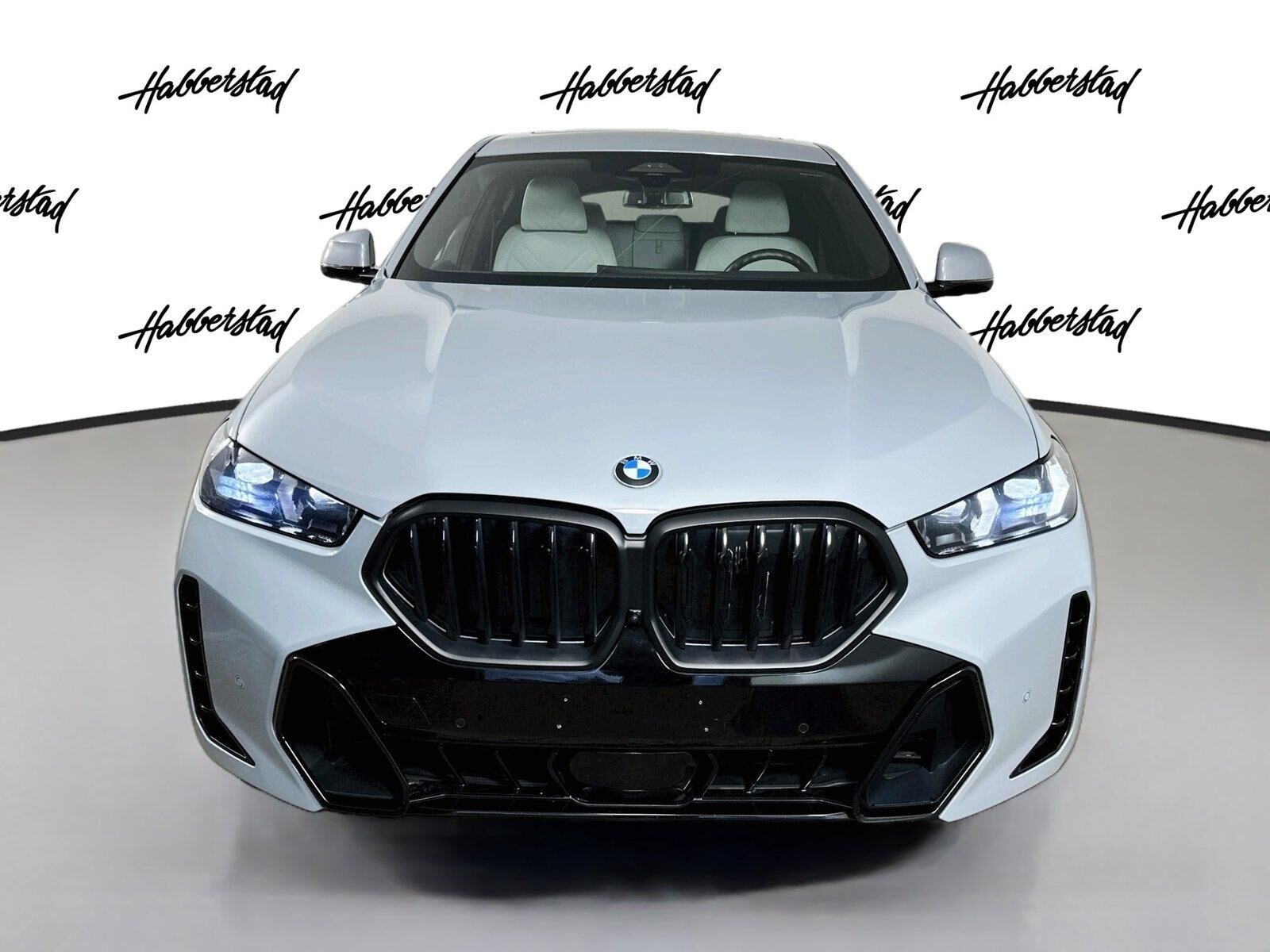 2024 BMW X6