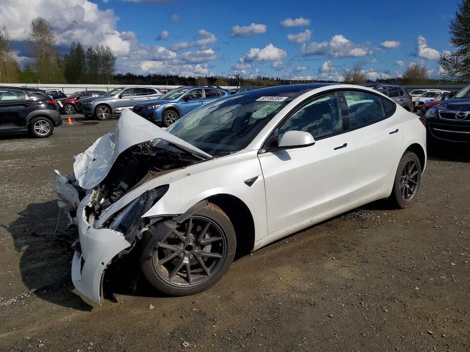 2021 TESLA Model 3