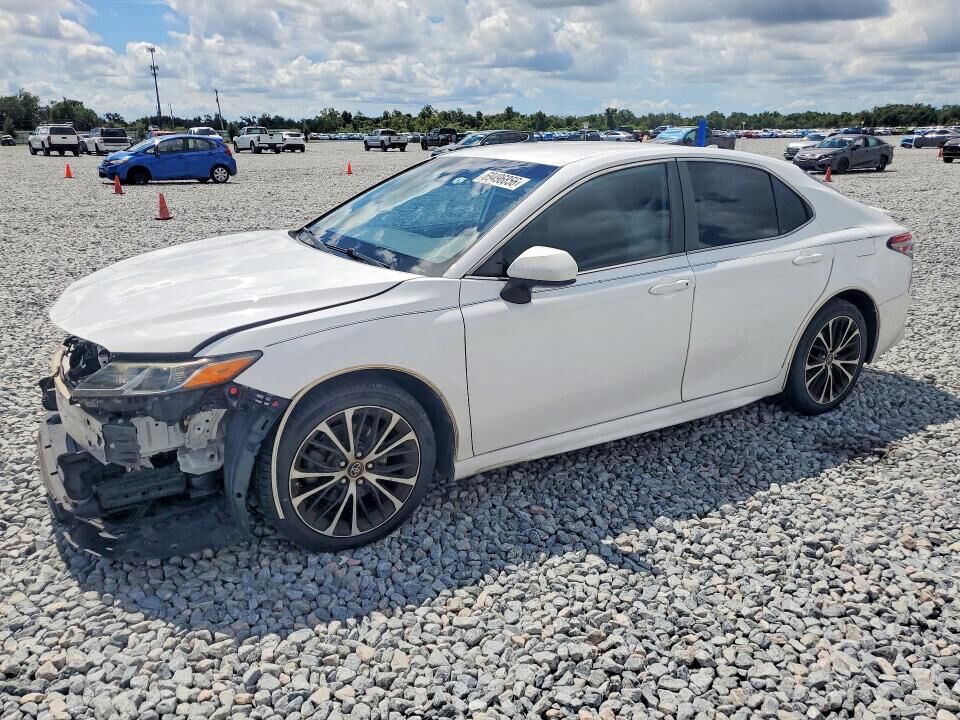 2019 TOYOTA Camry